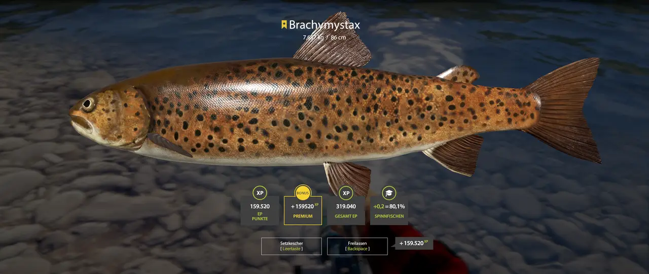 Einer geht noch ....